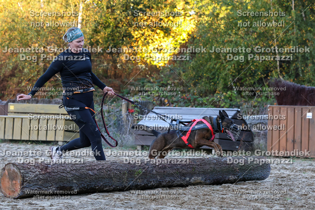 Dog Paparazzi - Strongdog 10-25-358 | Dog Paparazzi Jeanette Grottendiek Fotografie & Videografie - Realisiert mit Pictrs.com