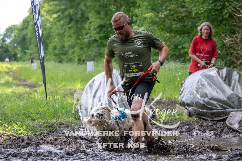 1248_ZZ93601 | kk-dogfotos