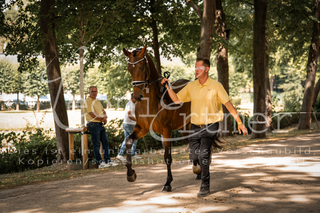 FrPfM00191 | Leoni Ertmer Photography - Realisiert mit Pictrs.com