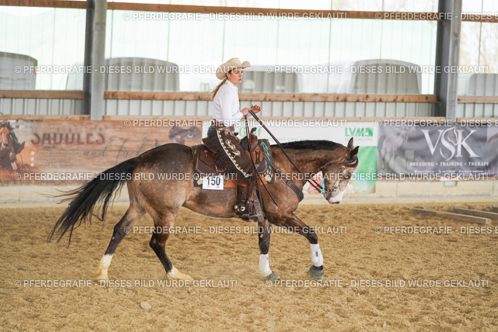 DSC01399 | Pferdegrafie