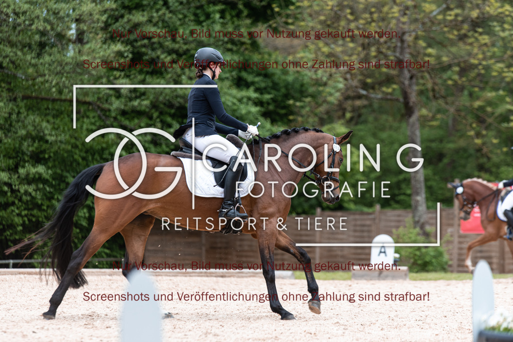 DSC_7004 | Turnierfotografin Carolin Gieschke,Reitsport Turnierfotografie Carolin G Fotografie | Turnierfotos aus Kirchheim/Teck, Esslingen, Stuttgart und dem Bodenseekreis