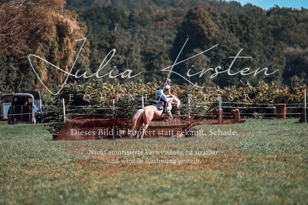 DSC_1060 | Pferde- und Turnierfotografie in Westsachsen. Pferdeportraits, Auftragszeichnungen und intuitive Kunst.