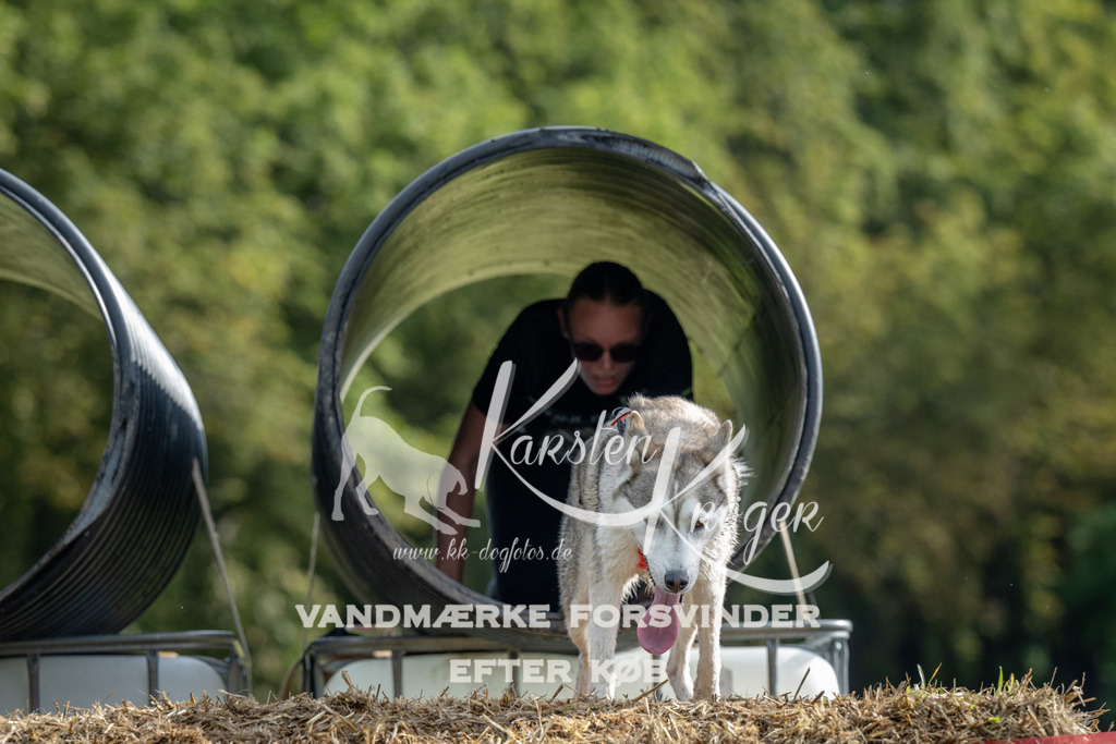 0935_ZZ90759 | kk-dogfotos