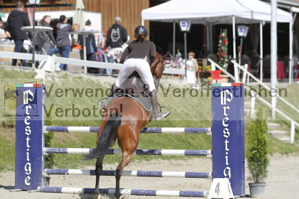 _MG_5017 | equestrian-live-com