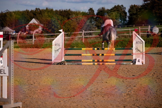 2026_10_03_Siefer-Hof_171404_Z81_11378276 | Professionelle Reitsport-, Turnier- und Eventfotografie von Robert Broda. Galerien mit ausgewählten und bearbeiteten Bildern direkt online ansehen und bestellen.