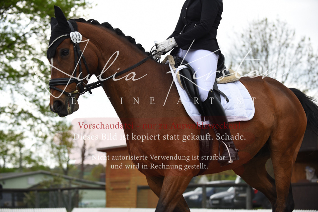 20230513_JK-Röhrsdorf-15-559 | Pferde- und Turnierfotografie in Westsachsen. Pferdeportraits, Auftragszeichnungen und intuitive Kunst.