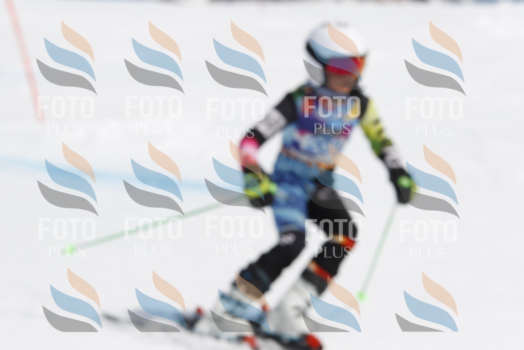 _U3G2107 | holidayphoto