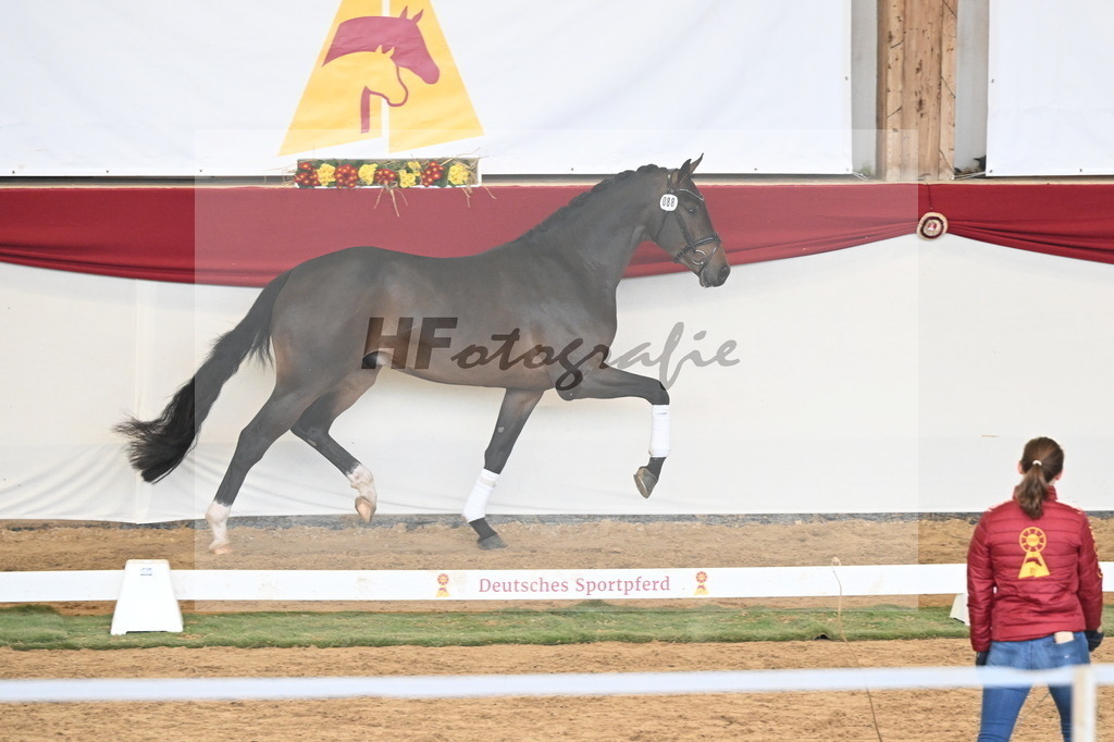 Kat.-Nr. 88 v. Zackerey_Rakelbusch_3261318 | hf-fotografie - Realisiert mit Pictrs.com