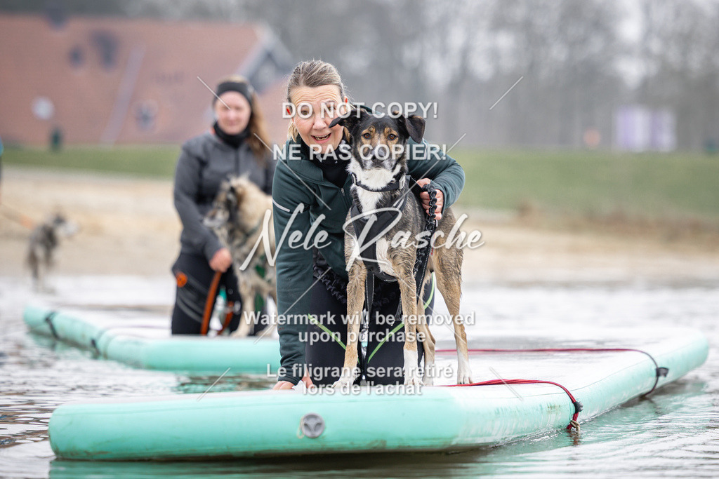 nelerasche_Hulsbeek_Sa1100-1130_648 | nelerasche
