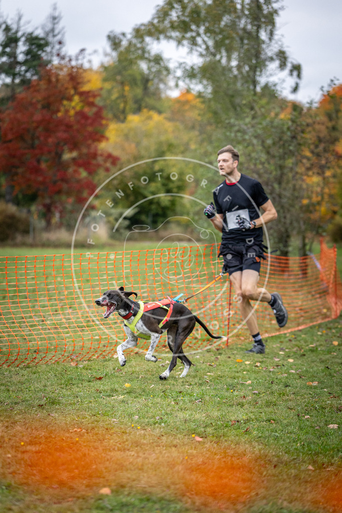 Pfotenfotografie_DV3A1645 | Hundefotografie, Tierfotograf, Pfotenfotografie, Fotoshooting Hund, Hunde Portrait, Hundesport, Hundeportraits, Heideshooting, Hunde, Sportfotograf, Hundefotograf, Turnierhundsport, THS,  - Realisiert mit Pictrs.com