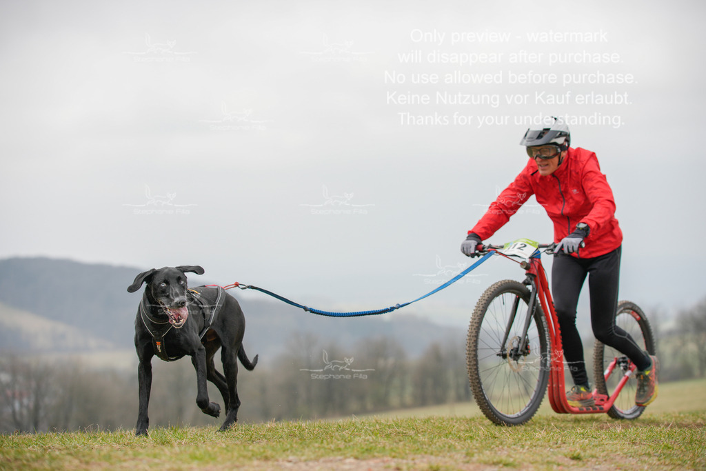 ScooterSA-57 | stephaniefillaphotographie - Realisiert mit Pictrs.com