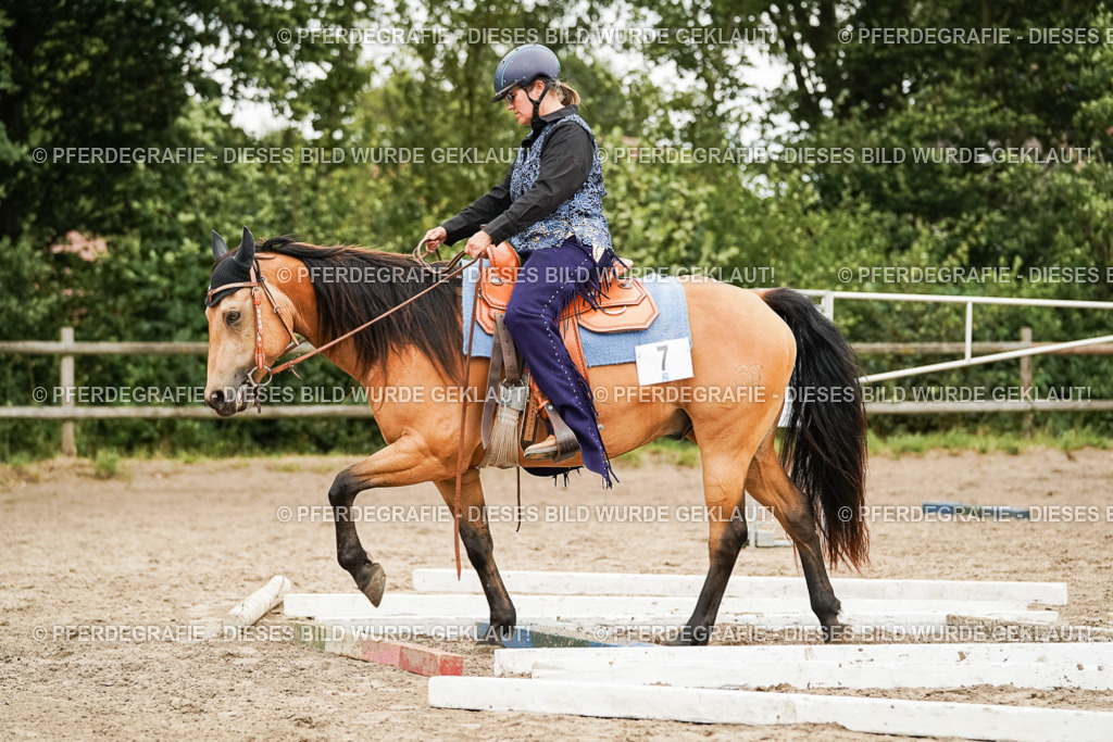 DSC08588 | Pferdegrafie