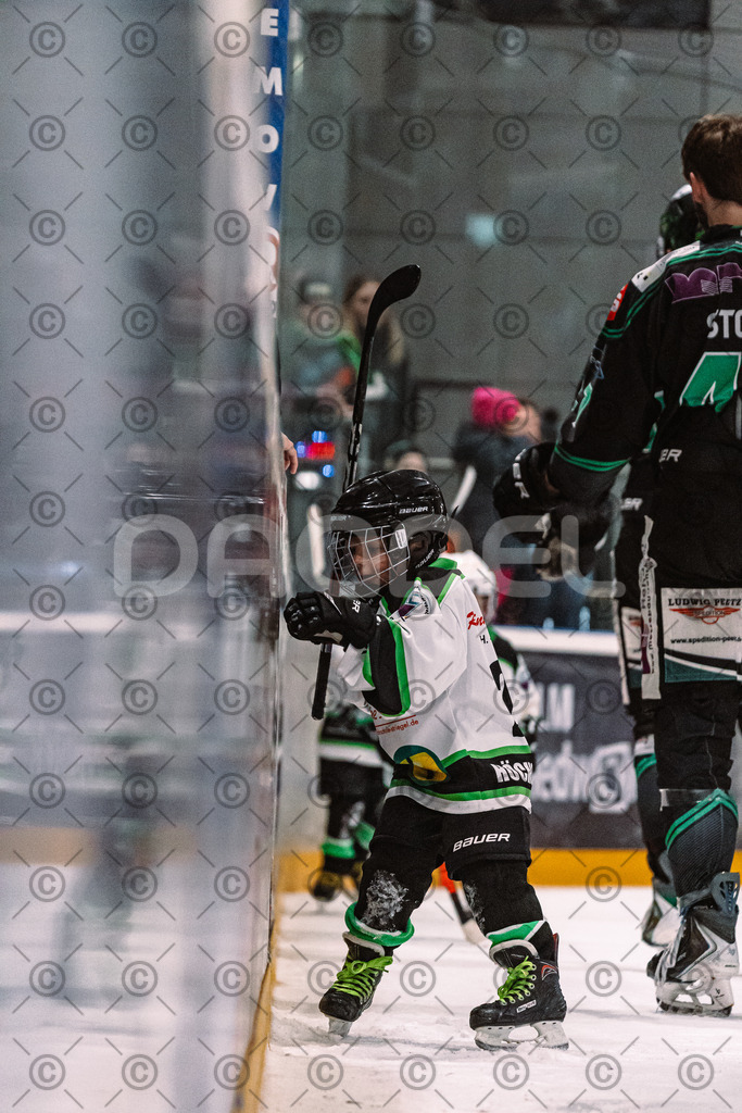 Alligators_vs_Erding_01_02_2026-39 | Höchstadt Alligators Fotogalerie: Eishockey-Action aus Franken. Professionelle Spielfotos, Portraits & Stadionbilder zum Download. Jetzt entdecken! - Realisiert mit Pictrs.com