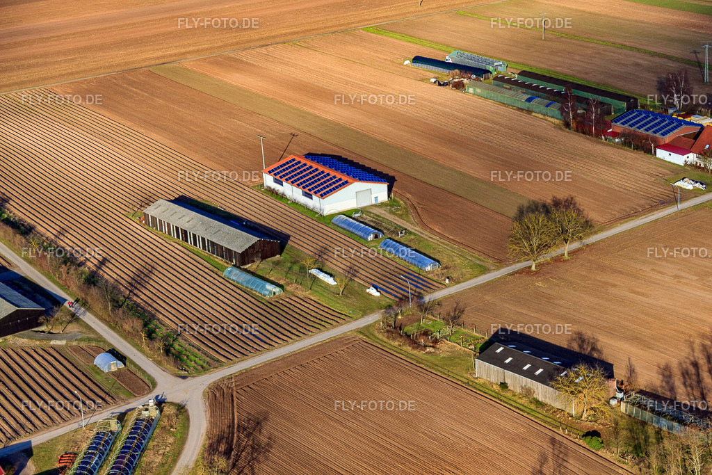Aussiedlerhöfe am Mühlweg | Luftbild: Aussiedlerhöfe am Mühlweg in Hördt im Bundesland Rheinland-Pfalz in Deutschland. Foto: IMG_37073.jpg vom 22.01.2011 durch Werner Riehm/FLY-FOTO.de - Realisiert mit Pictrs.com