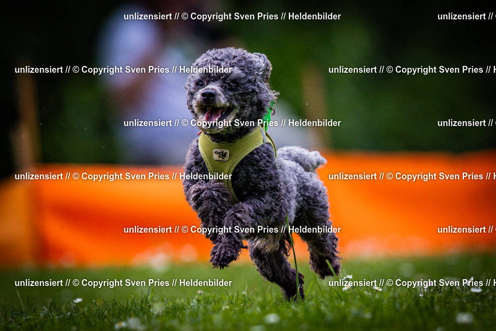 Sven Pries | 2025-05-29 - Pudelrennen KA-Durlach - Realisiert mit Pictrs.com