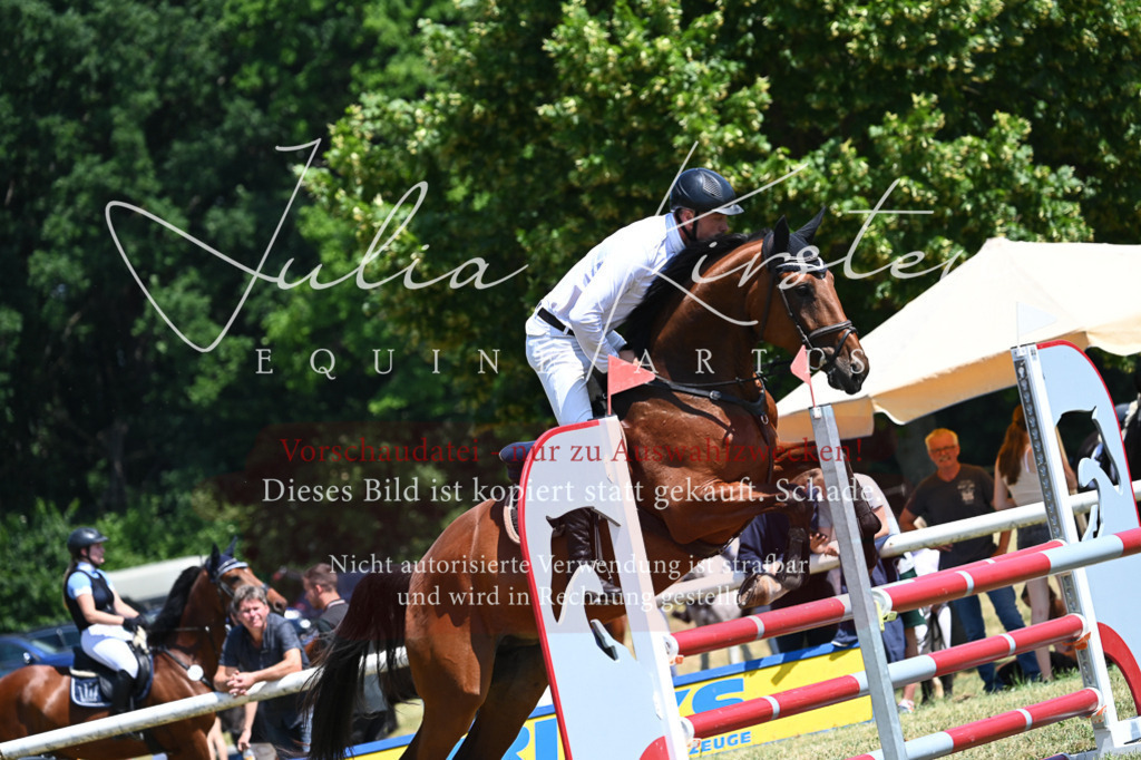 DSC_0591 | Pferde- und Turnierfotografie in Westsachsen. Pferdeportraits, Auftragszeichnungen und intuitive Kunst.
