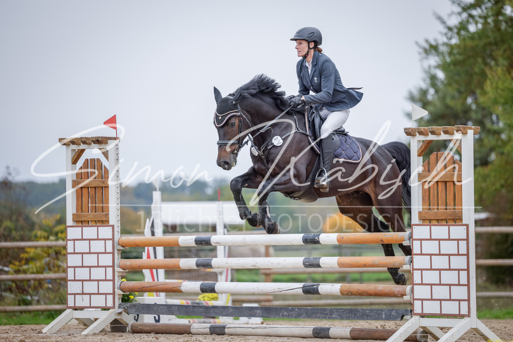 20251012-_3LI3767 | Tierfotografie Pferde, Hunde, Katzen, Haustiere.
Turnierfotografie Reitturniere, Reiten, Springreiten, Dressur in Hanau, dem Main-Kinzig-Kreis und dem Rhein-Main- Gebiet um Frankfurt