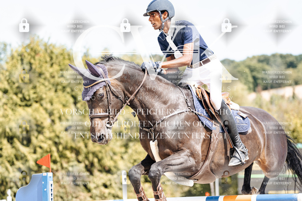 CK904767 | Turnierfotografie Pferdefotografie Trier Rheinland-Pfalz Pferdesport Reitsport Tierfotografie Sportfotografie Pferdevideo Pferdevideografie Equestrianvideography equestrianphotography  - Realisiert mit Pictrs.com