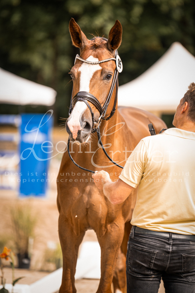 7.Fr00106 | Leoni Ertmer Photography - Realisiert mit Pictrs.com