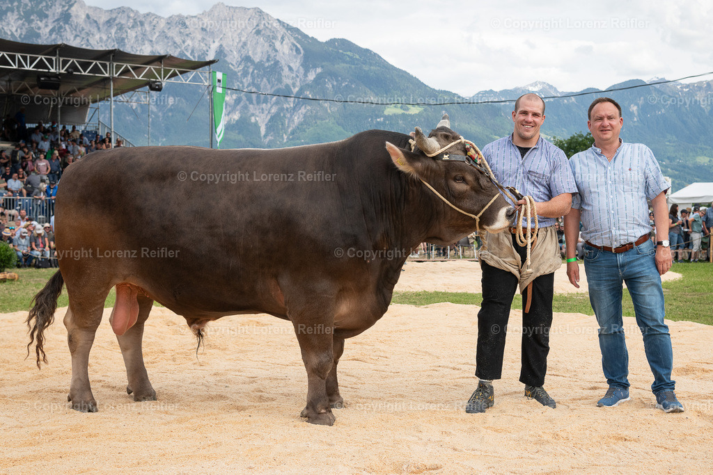 Schwingen -  St.Galler Kantonal 2024 | Grabs, 26.5.24, Schwingen - St.Galler Kantonal.