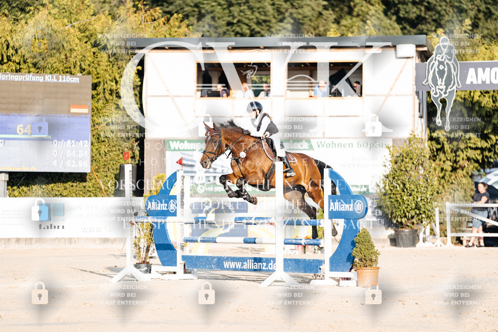 CK900723 | Turnierfotografie Pferdefotografie Trier Rheinland-Pfalz Pferdesport Reitsport Tierfotografie Sportfotografie Pferdevideo Pferdevideografie Equestrianvideography equestrianphotography  - Realisiert mit Pictrs.com