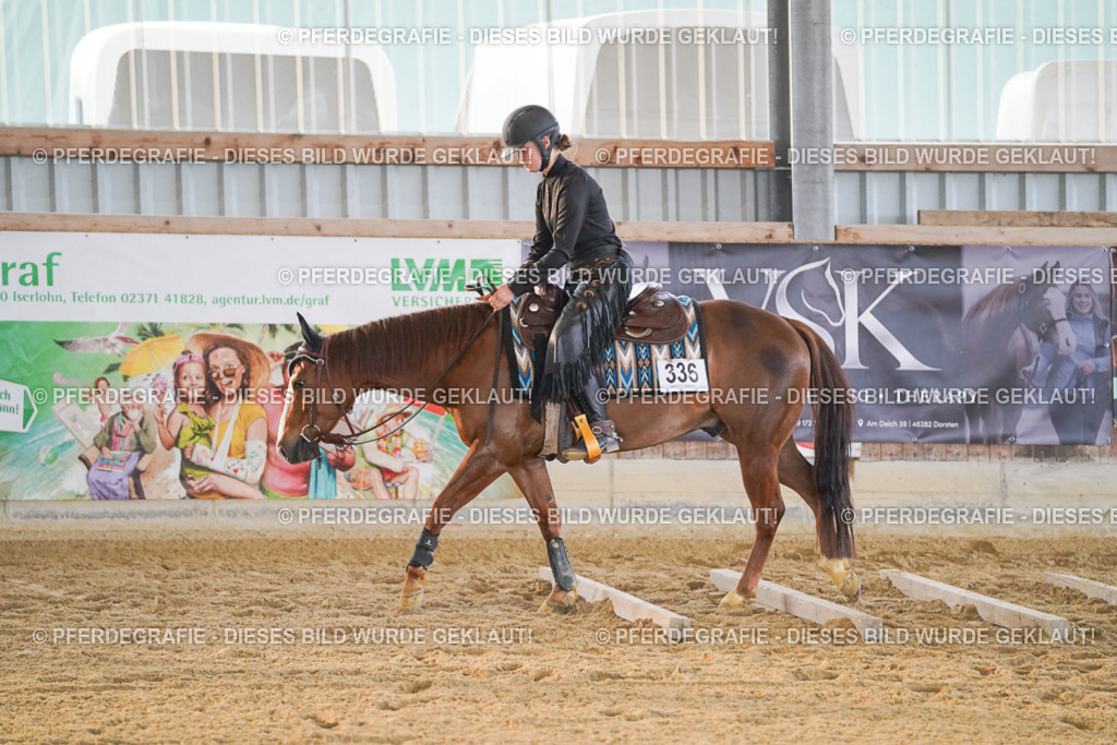 DSC08759 | Pferdegrafie