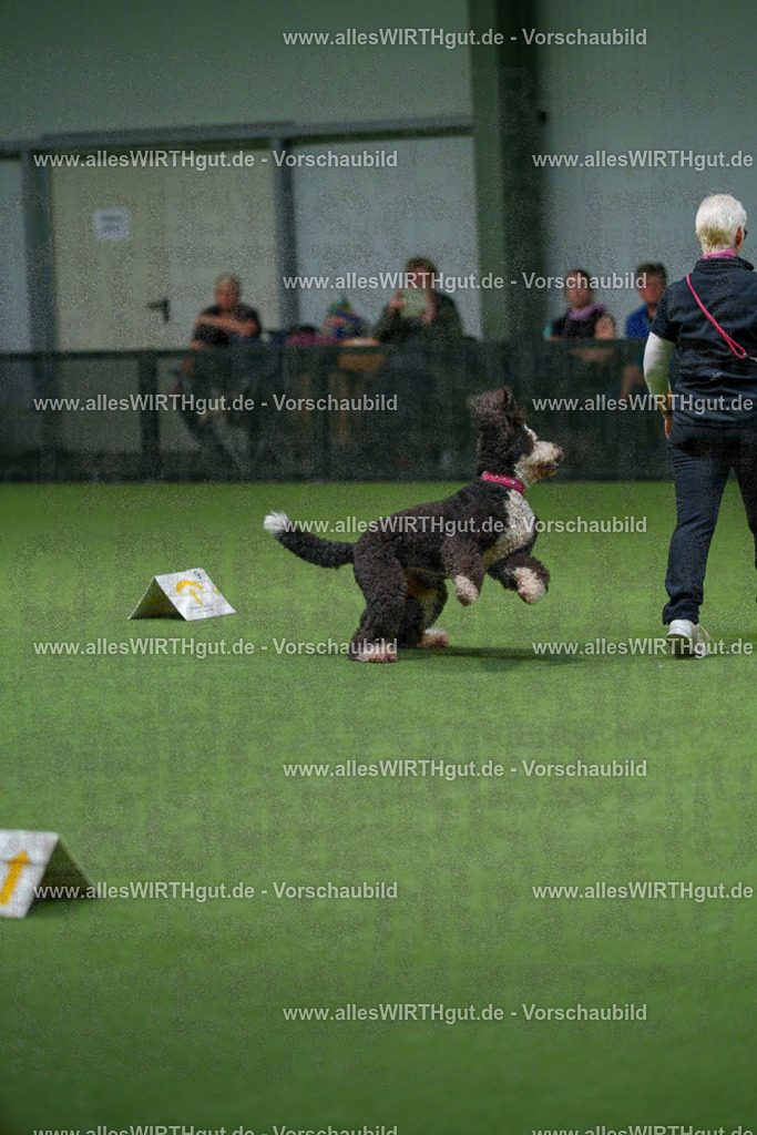 7R508061 | Professionelle Tierfotografie in Mönchengladbach von Daniel Wirth (allesWIRTHgut). Liebevolle & natürliche Bilder von Hunden & Katzen für unvergessliche Erinnerungen.