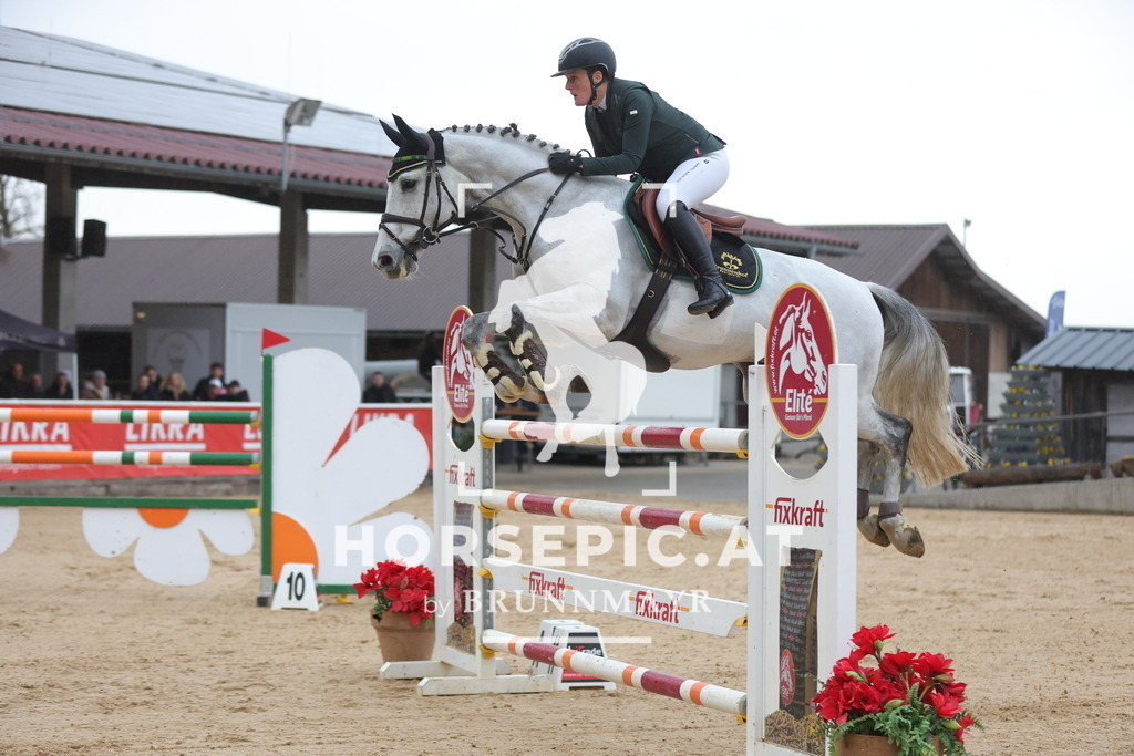 0P6A5608 | Willkommen bei Brunnmayr - Design & Fotografie – Ihrem Spezialisten für Reitturniere und Pferdeveranstaltungen in Oberösterreich, Salzburg und Bayern! Seit über 17 Jahren sind wir leidenschaftlich dabei.