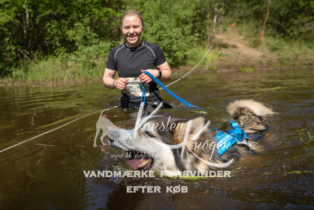 1016DKK990350 | kk-dogfotos
