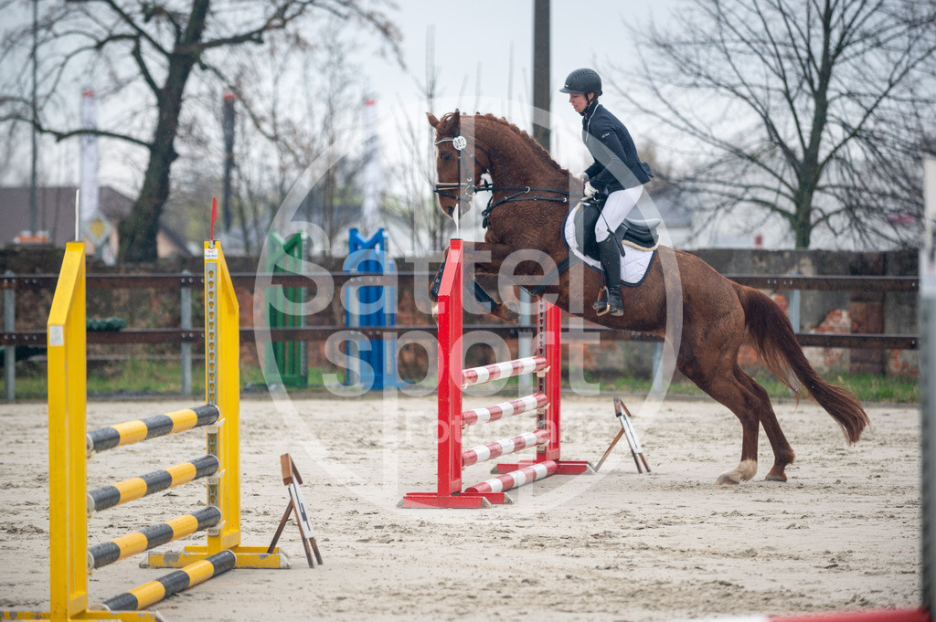 DSC_8503 | sattelsport - Realisiert mit Pictrs.com