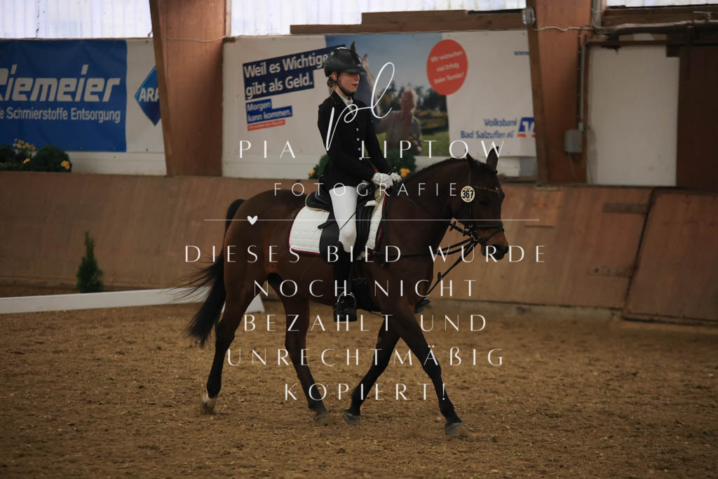 IMGT1119 | pl-fotografie