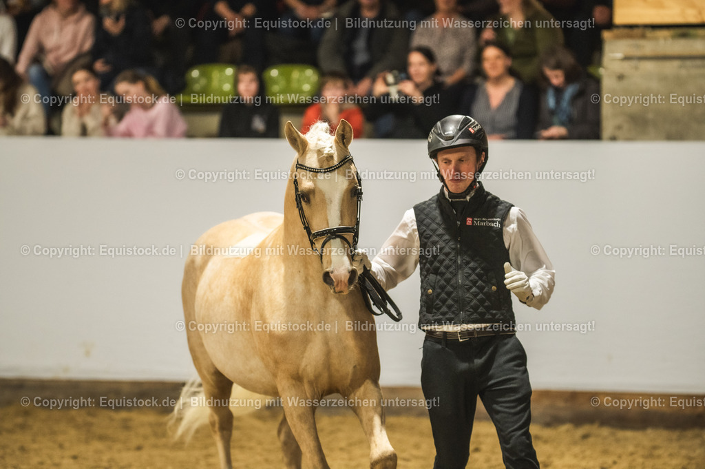 20240302_Hengstvorstellung_Marbach_TOMsPiC_0808-2 | equistock