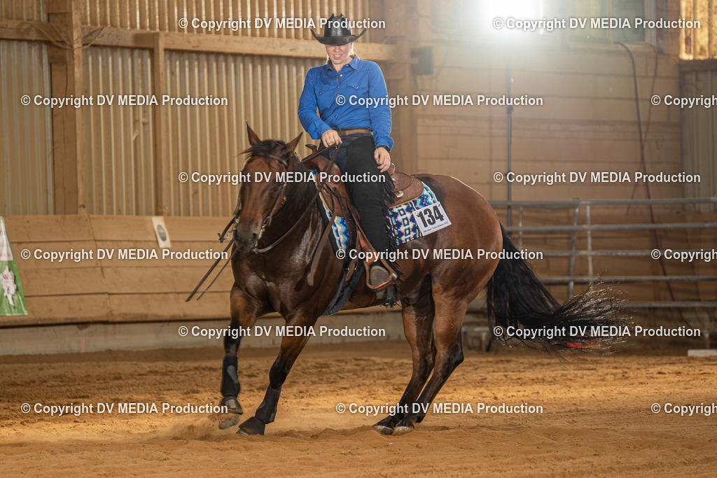 NID02177 | dv-media-shop - Realisiert mit Pictrs.com