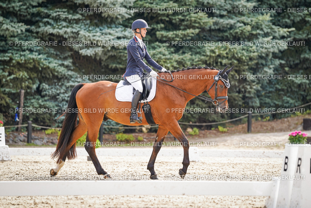 DSC07518 | Pferdegrafie