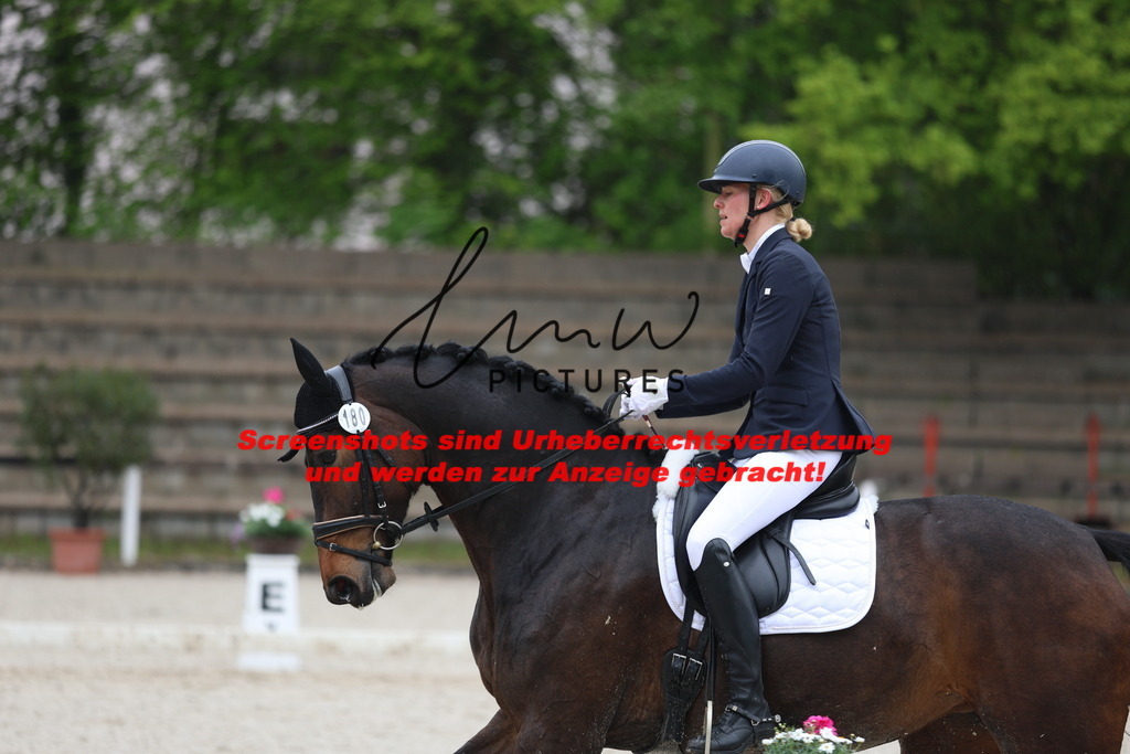 A40A8215 | lmwpictures - Realisiert mit Pictrs.com