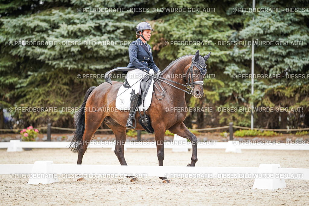 DSC07340 | Pferdegrafie