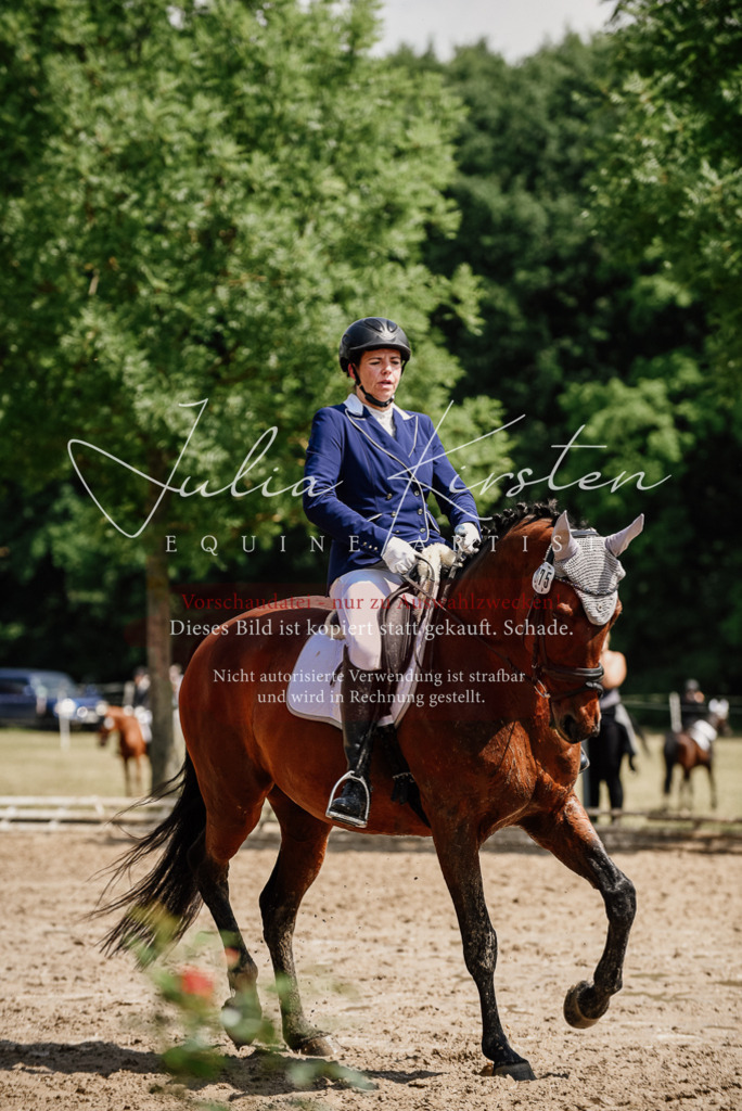 DSC_1220 | Pferde- und Turnierfotografie in Westsachsen. Pferdeportraits, Auftragszeichnungen und intuitive Kunst.