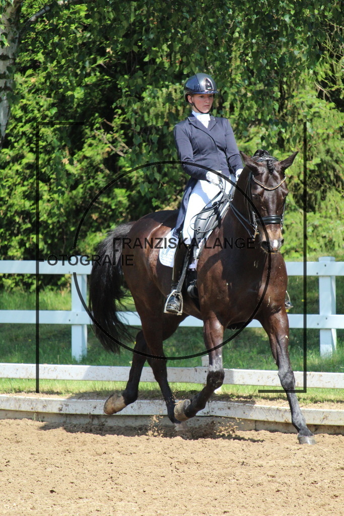 IMG_7202 | franziskalange - Realisiert mit Pictrs.com