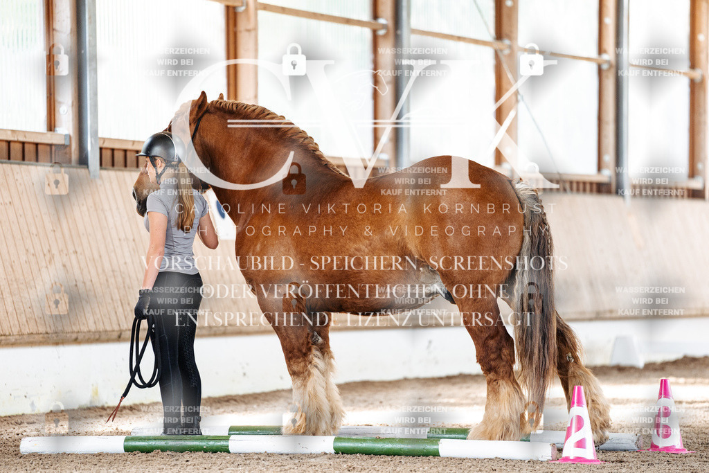 CK905427 | Turnierfotografie Pferdefotografie Trier Rheinland-Pfalz Pferdesport Reitsport Tierfotografie Sportfotografie Pferdevideo Pferdevideografie Equestrianvideography equestrianphotography  - Realized with Pictrs.com