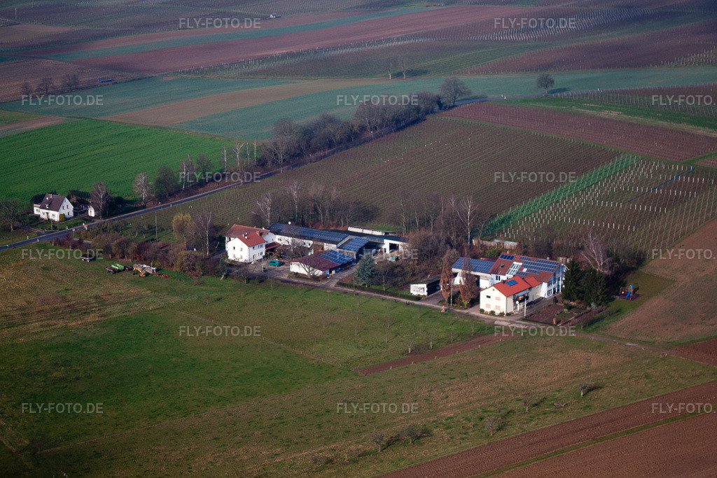 Luftbild: Eichenhof im Ortsteil Deutschhof in Kapellen-Drusweiler im Bundesland Rheinland-Pfalz in Deutschland. Foto: IMG_35567.jpg vom 20.11.2010 durch Werner Riehm/FLY-FOTO.de