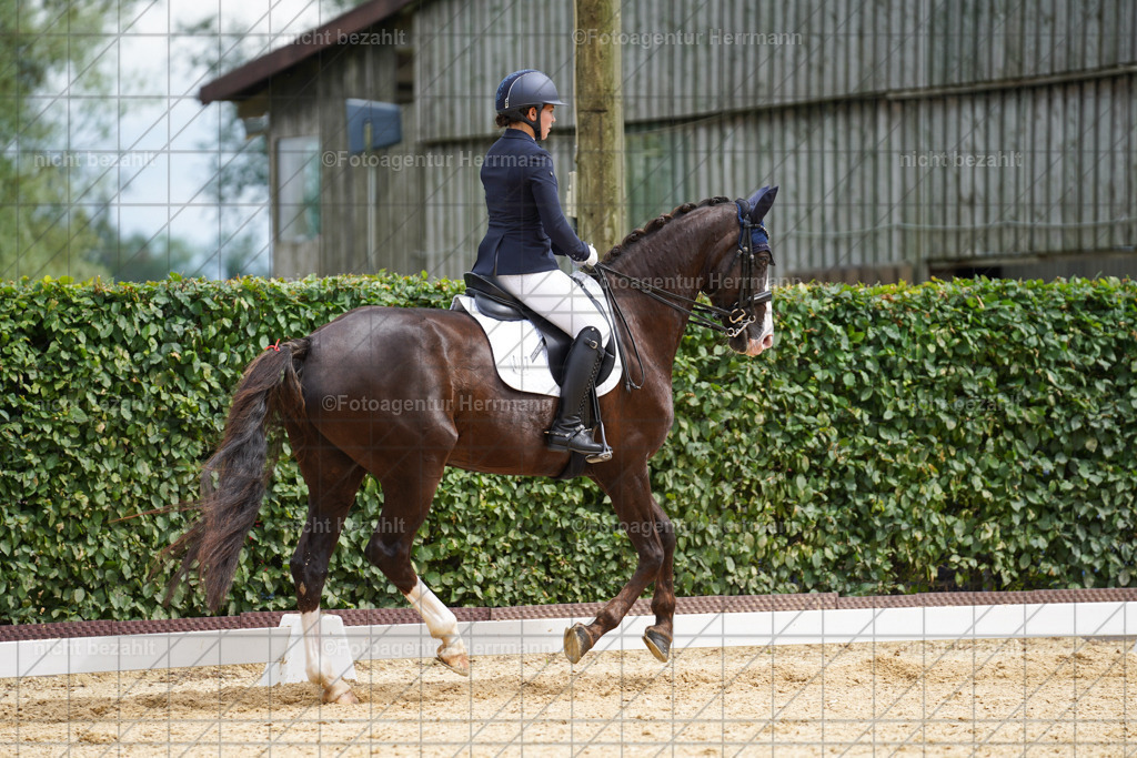 20240630-FAH02185 | Turnierbilder Schwabmünchen, Dressurbilder, Springreitturnier, Reitsportbilder, Turnierfotografen Bayern, Turnierfotograf