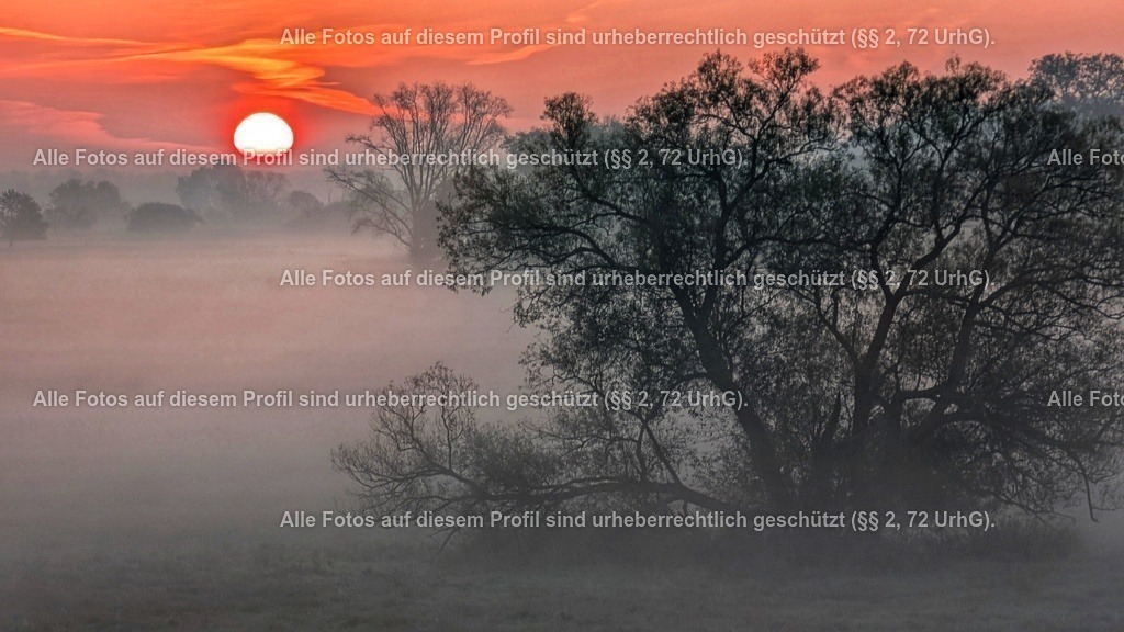 PXL_20241024_055732373 | krollfotografie - Realisiert mit Pictrs.com