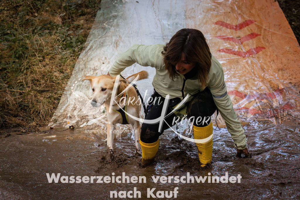 1050_ZZ94736 | kk-dogfotos