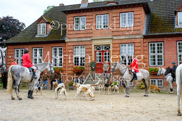 Jagd Knoop 26_MarinaHewigDSCF8684 | Fotografie, FotoArt, PferdesportArt, Pferdesportfotografie, Landschaftsfotografie, Reisefotografie, Reise, Pferde - Realisiert mit Pictrs.com