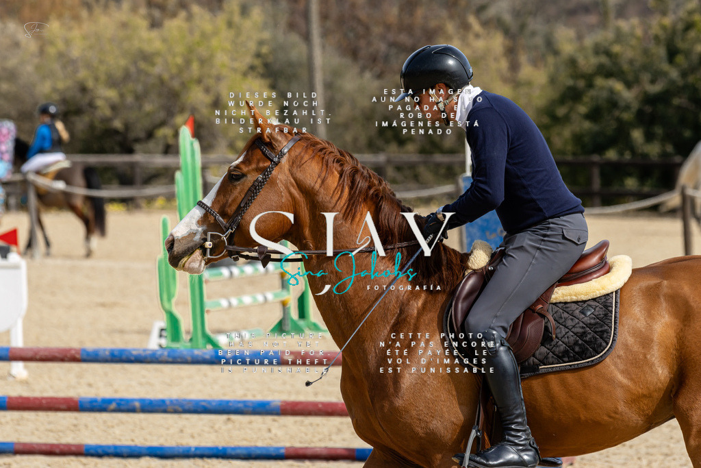 IMG_3203 | s-jay-photography - Realisiert mit Pictrs.com