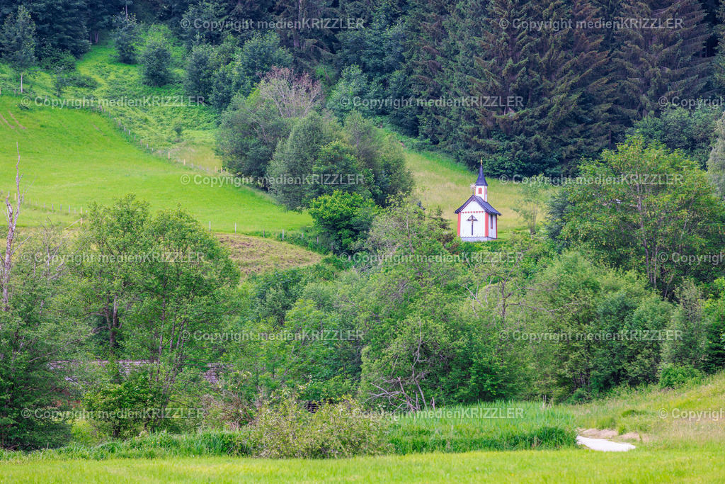 Inzeller Filzen | medienkrizzler - Realisiert mit Pictrs.com