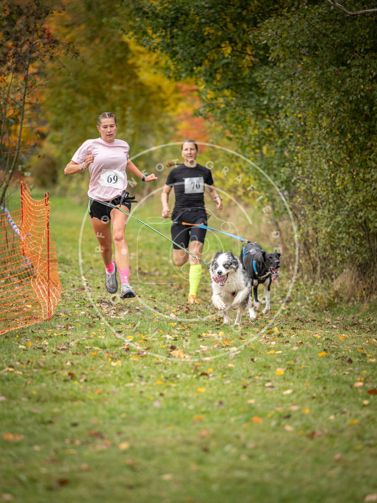 Pfotenfotografie_DV3A2783 | Hundefotografie, Tierfotograf, Pfotenfotografie, Fotoshooting Hund, Hunde Portrait, Hundesport, Hundeportraits, Heideshooting, Hunde, Sportfotograf, Hundefotograf, Turnierhundsport, THS,  - Realisiert mit Pictrs.com