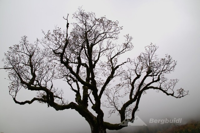 Ahornboden 2025-011 | Landschaftsfotografie Berge Mountain Landscape FotografieNatur Bilder Buidl Bergbuidl Bayern Heimat BergfotografieSonnenaufgang Sonnenuntergang Hobbyfotograf Bilderverkauf Leinwand - Realisiert mit Pictrs.com