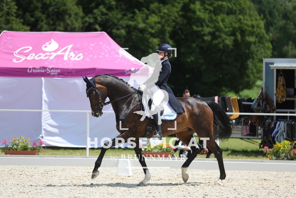 0P6A0468 | Willkommen bei Brunnmayr - Design & Fotografie – Ihrem Spezialisten für Reitturniere und Pferdeveranstaltungen in Oberösterreich, Salzburg und Bayern! Seit über 17 Jahren sind wir leidenschaftlich dabei.
