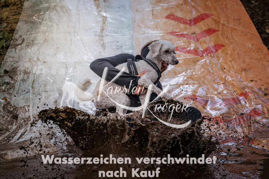 1034_ZZ93723 | kk-dogfotos